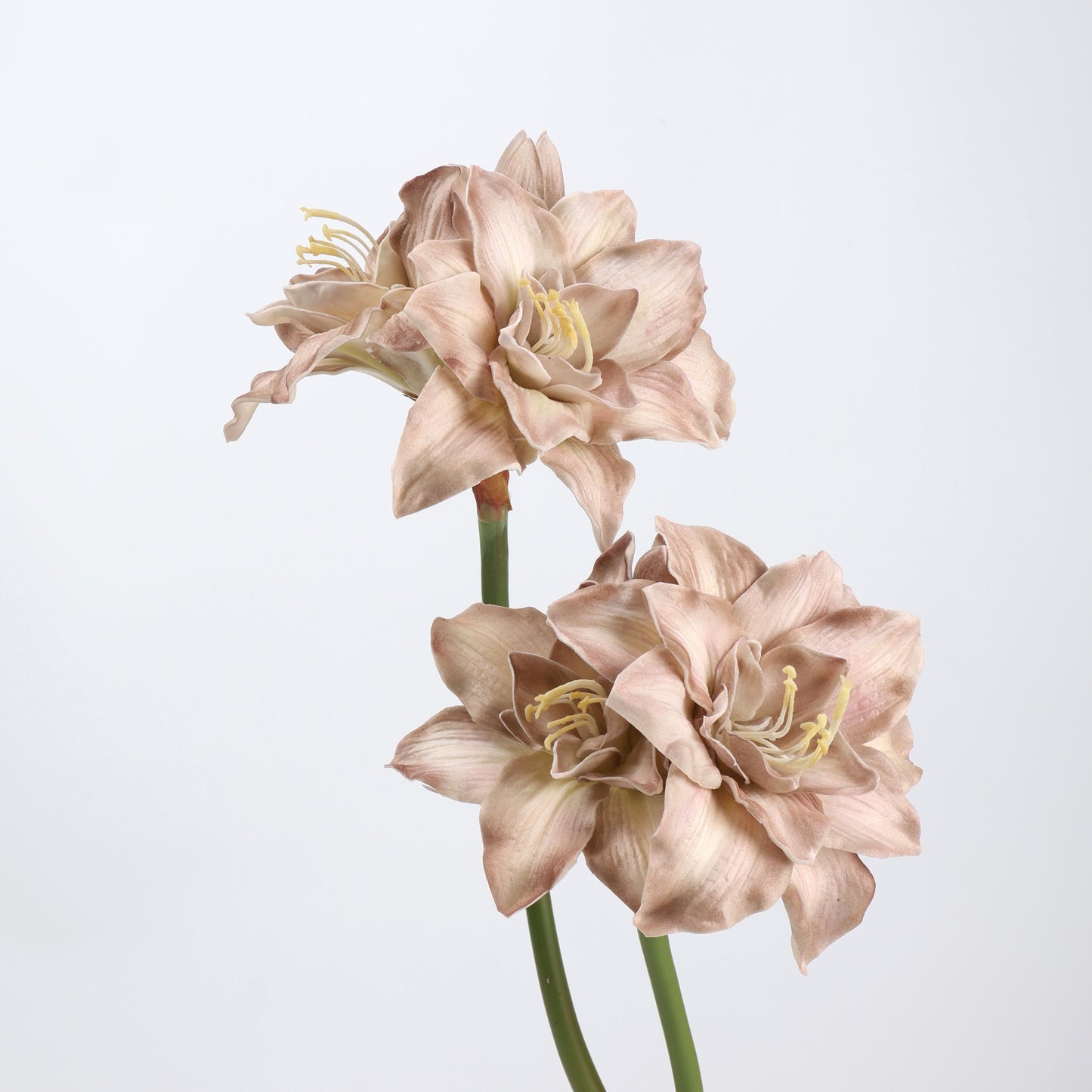 Real Touch Dusty Mauve Amaryllis Stem 23"  1 bloom