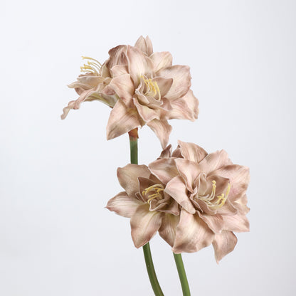 Real Touch Dusty Mauve Amaryllis Stem 23"  1 bloom