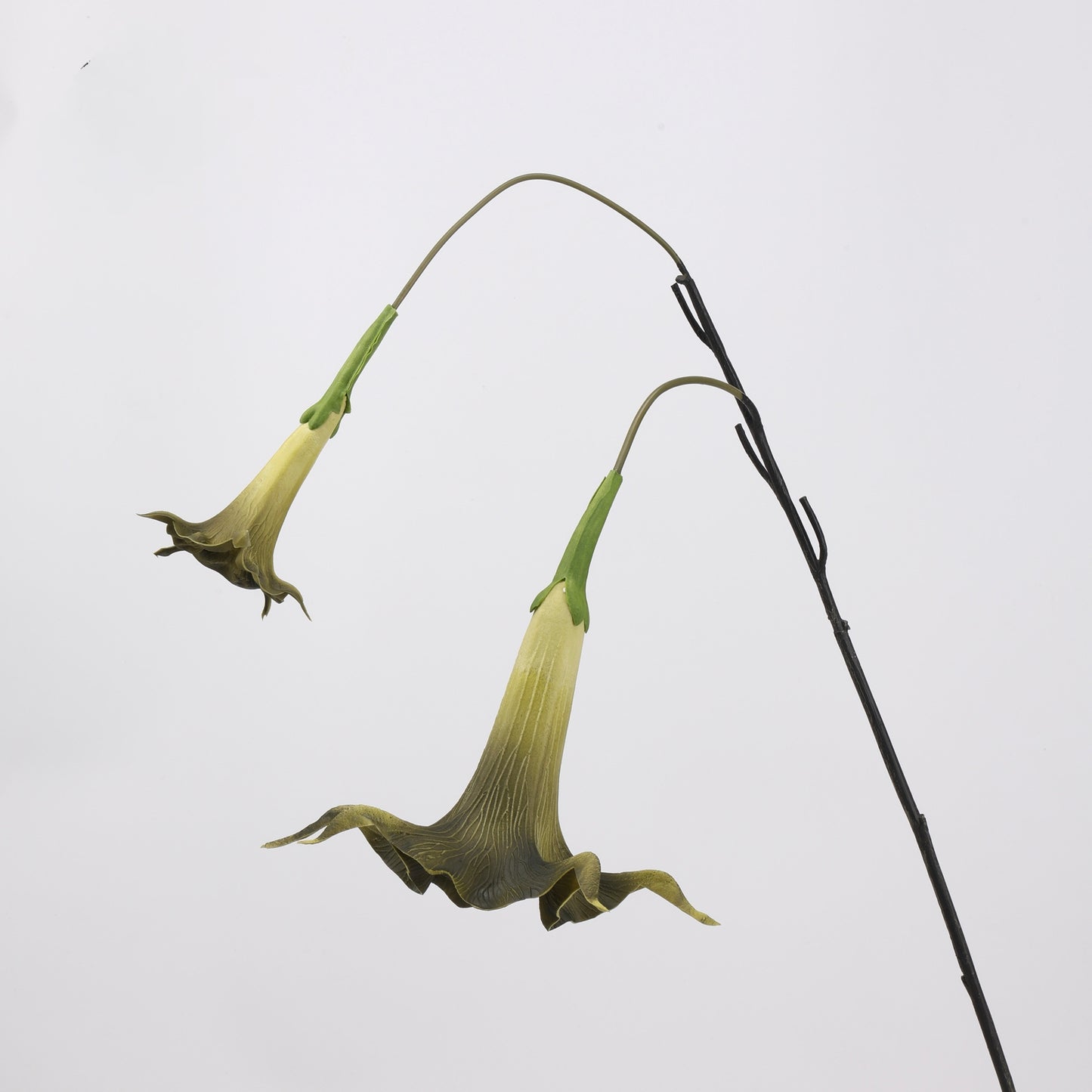 Faux Olive Green Angel's Trumpet Stem 35" | 2 Blooms
