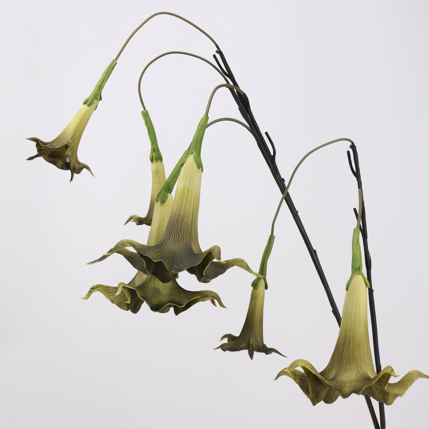 Faux Olive Green Angel's Trumpet Stem 35" | 2 Blooms