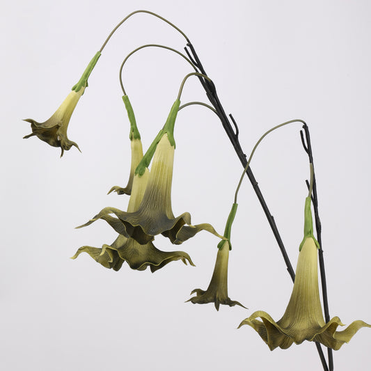 Faux Olive Green Angel's Trumpet Stem 35" | 2 Blooms
