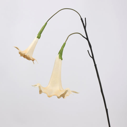 Faux Ivory White Angel's Trumpet Stem 35" | 2 Blooms
