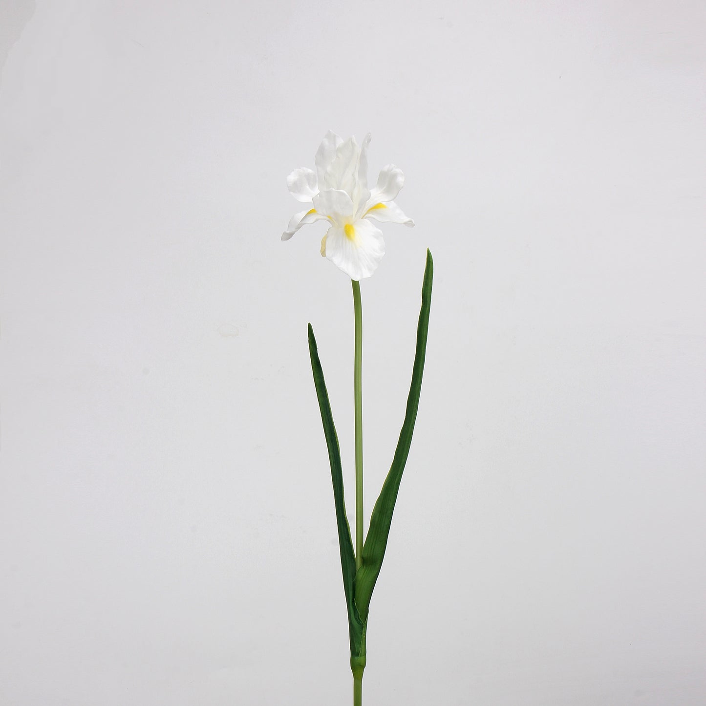 White Real Touch Artificial Flower Stems – PU Faux Flowers | Panthère Rose