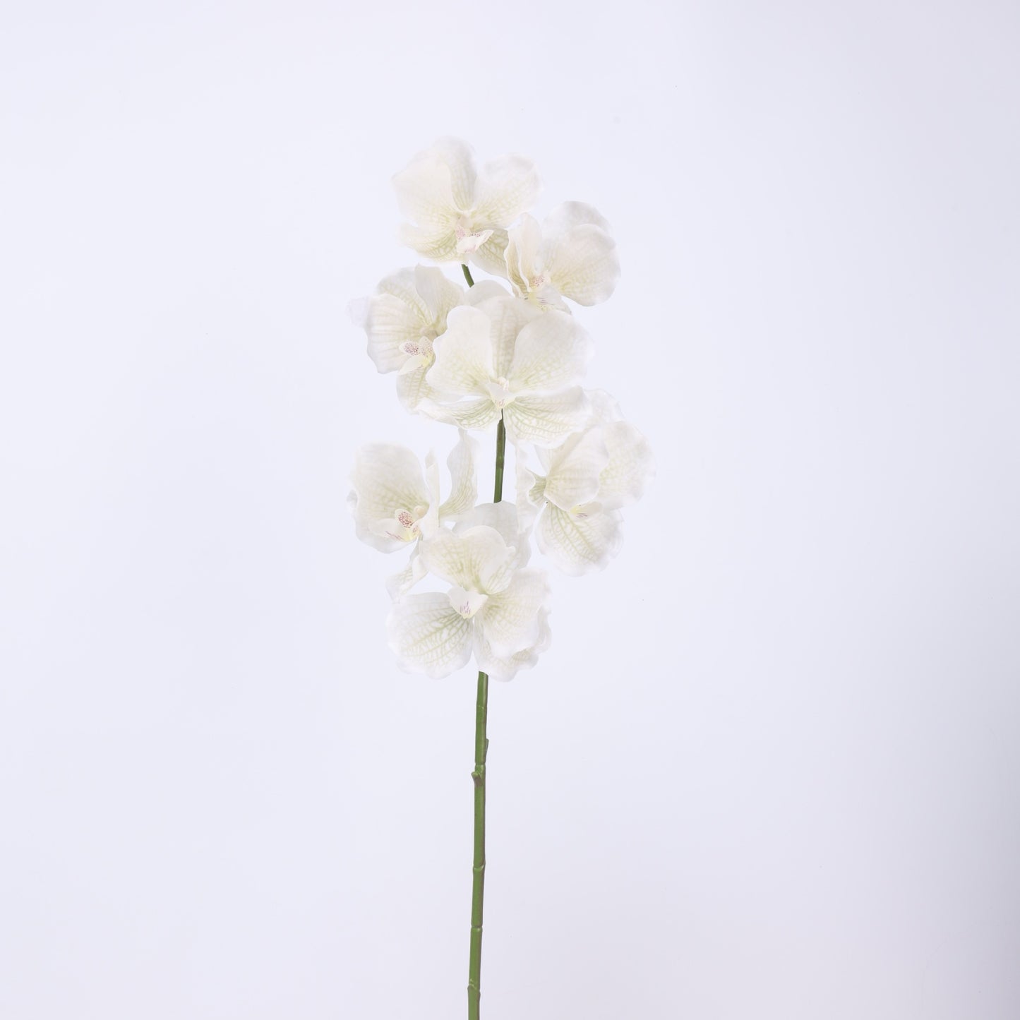 White Real Touch Artificial Flower Stems – PU Faux Flowers | Panthère Rose