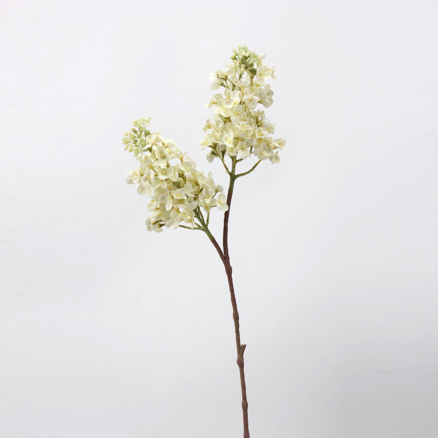 White Real Touch Artificial Flower Stems – PU Faux Flowers | Panthère Rose