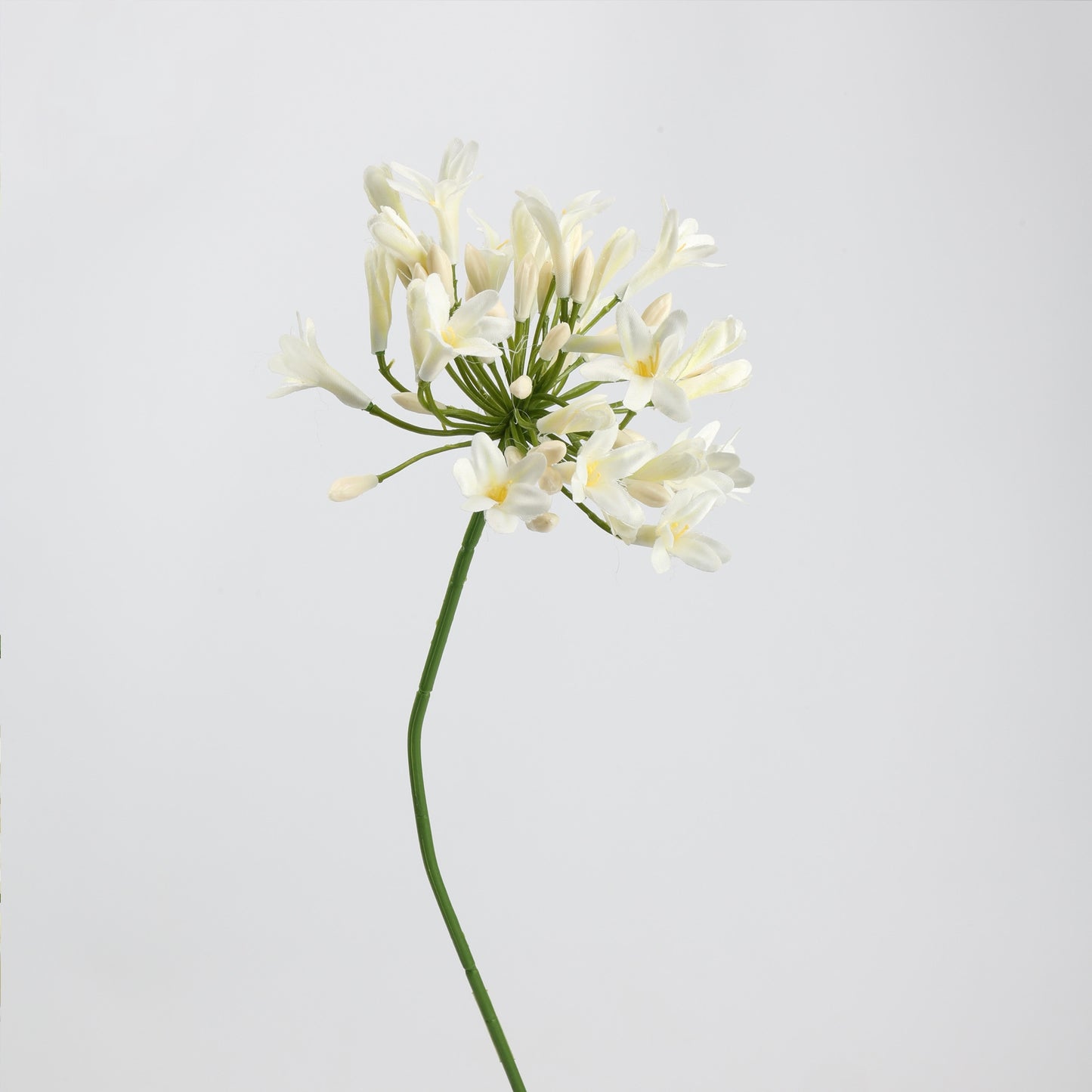 White Real Touch Artificial Flower Stems – PU Faux Flowers | Panthère Rose