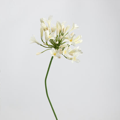 White Real Touch Artificial Flower Stems – PU Faux Flowers | Panthère Rose