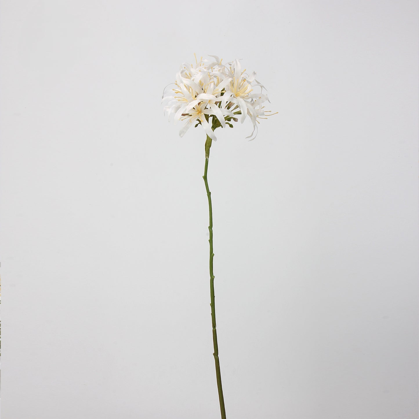 White Real Touch Artificial Flower Stems – PU Faux Flowers | Panthère Rose