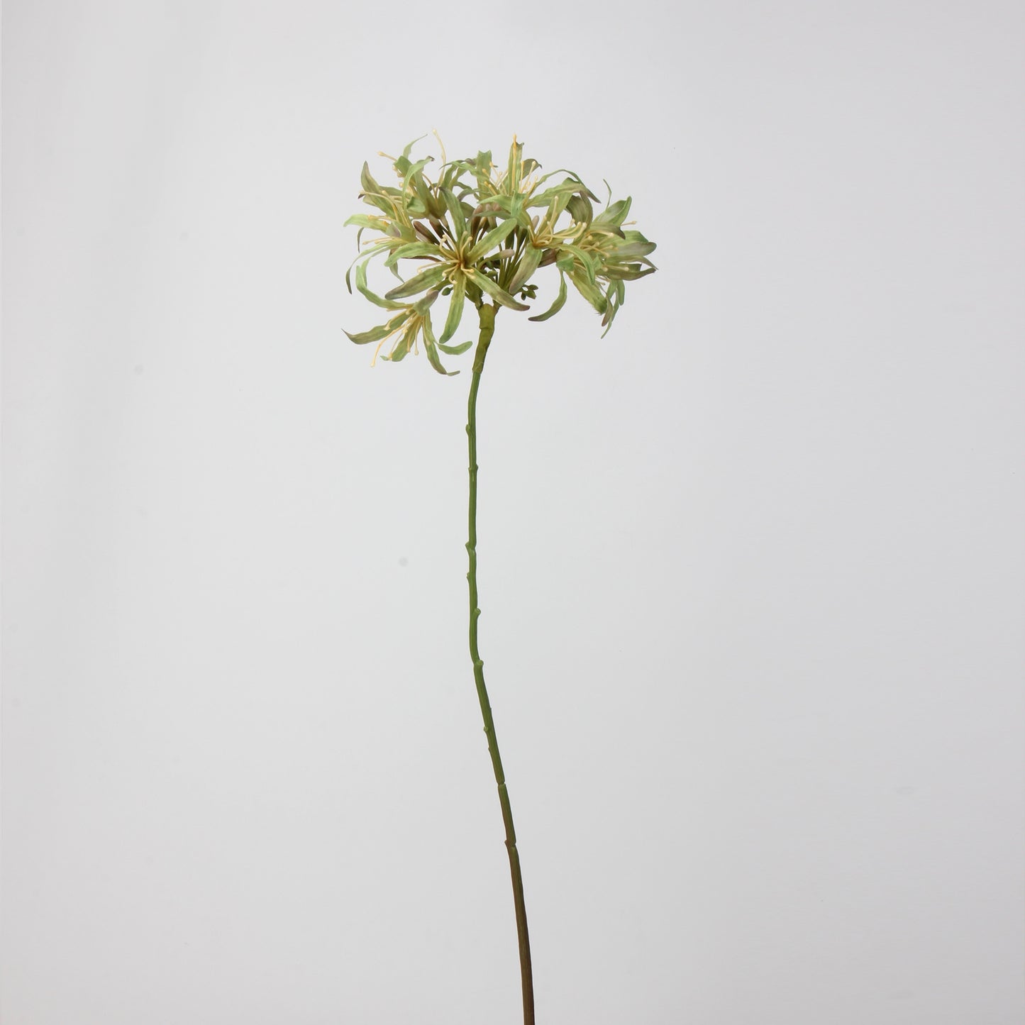 Green Real Touch Artificial Flower Stems – PU Faux Flowers | Panthère Rose