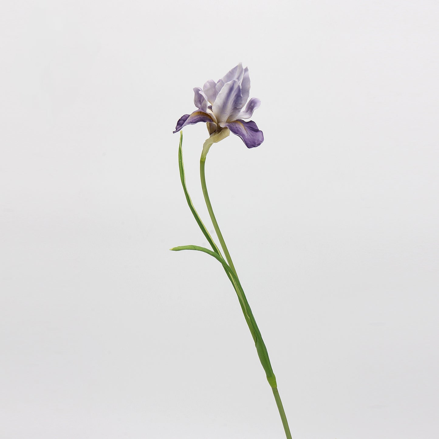 Purple & Violet Real Touch Artificial Flower Stems – PU Faux Flowers | Panthère Rose