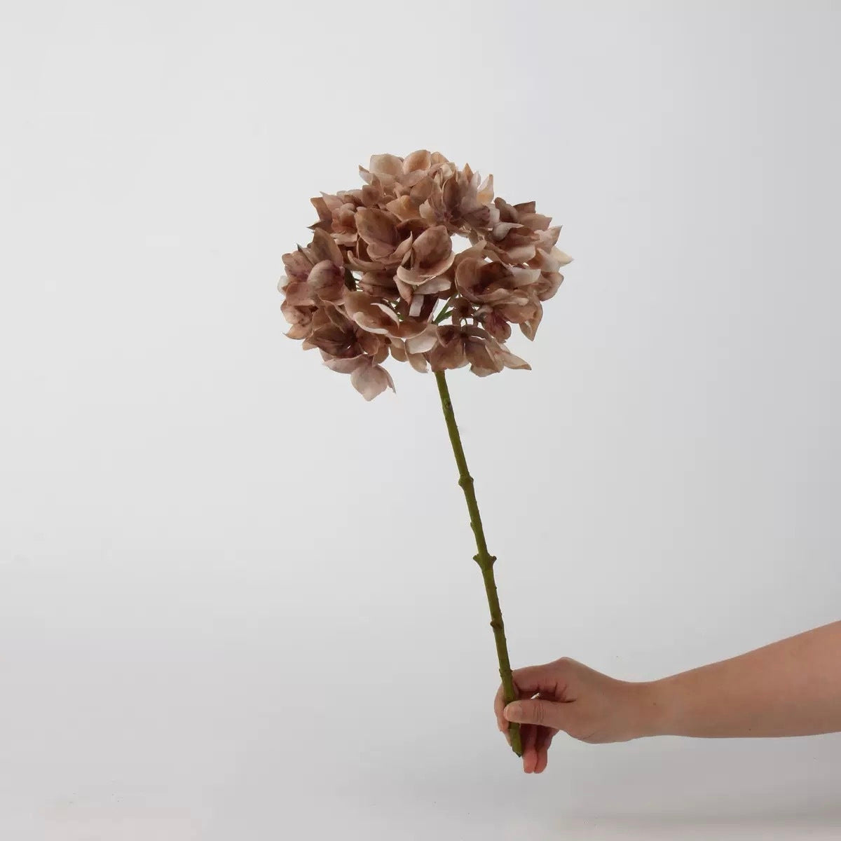 Mocha & Nude Real Touch Artificial Flower Stems – PU Faux Flowers | Panthère Rose