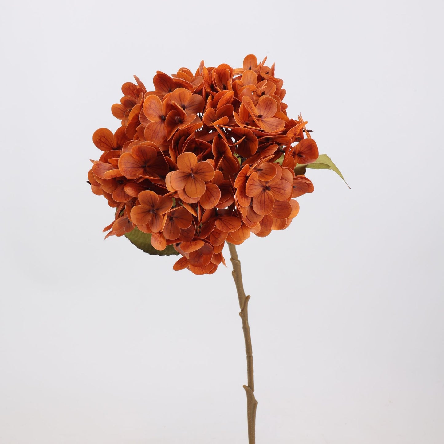 Mocha & Nude Real Touch Artificial Flower Stems – PU Faux Flowers | Panthère Rose