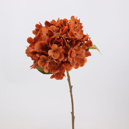 Mocha & Nude Real Touch Artificial Flower Stems – PU Faux Flowers | Panthère Rose