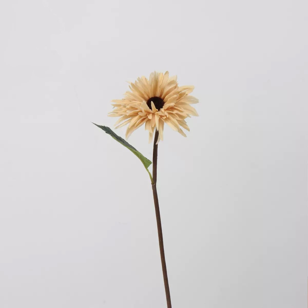 Mocha & Nude Real Touch Artificial Flower Stems – PU Faux Flowers | Panthère Rose