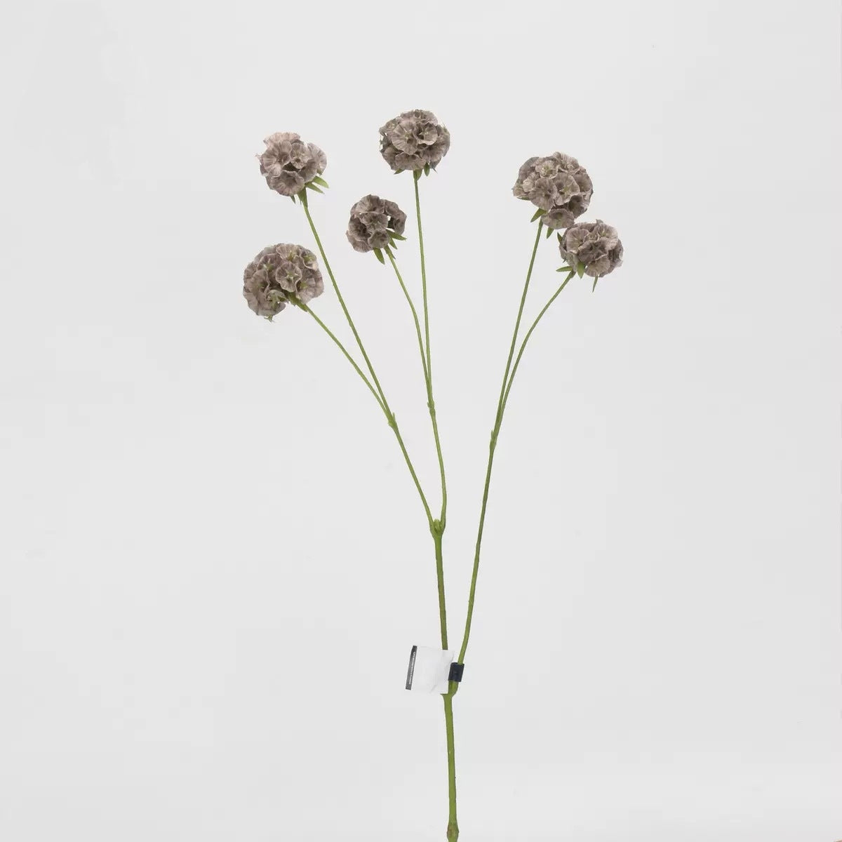 Mocha & Nude Real Touch Artificial Flower Stems – PU Faux Flowers | Panthère Rose