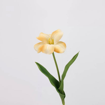 Mocha & Nude Real Touch Artificial Flower Stems – PU Faux Flowers | Panthère Rose