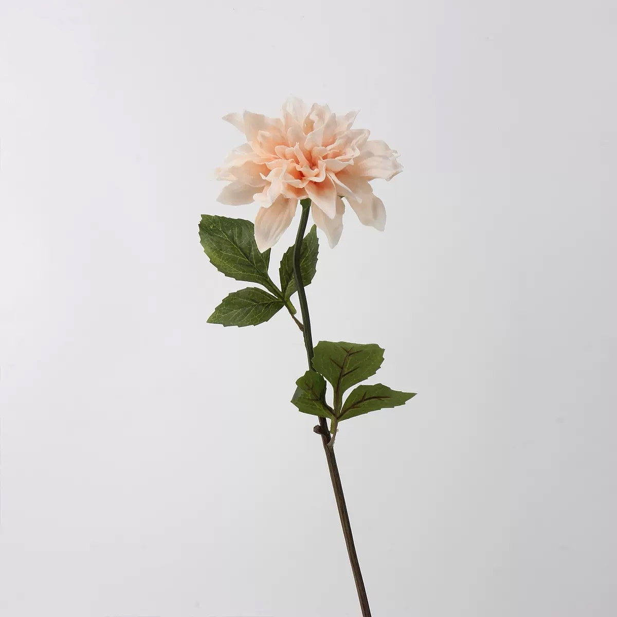 Mocha & Nude Real Touch Artificial Flower Stems – PU Faux Flowers | Panthère Rose