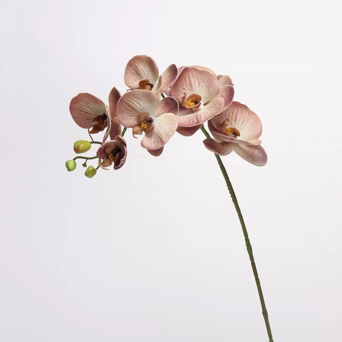 Mocha & Nude Real Touch Artificial Flower Stems – PU Faux Flowers | Panthère Rose