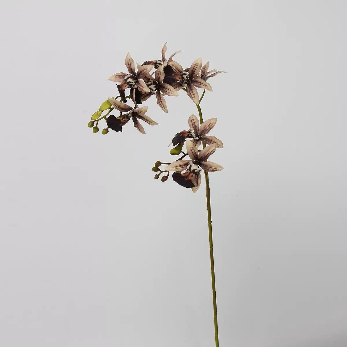 Mocha & Nude Real Touch Artificial Flower Stems – PU Faux Flowers | Panthère Rose