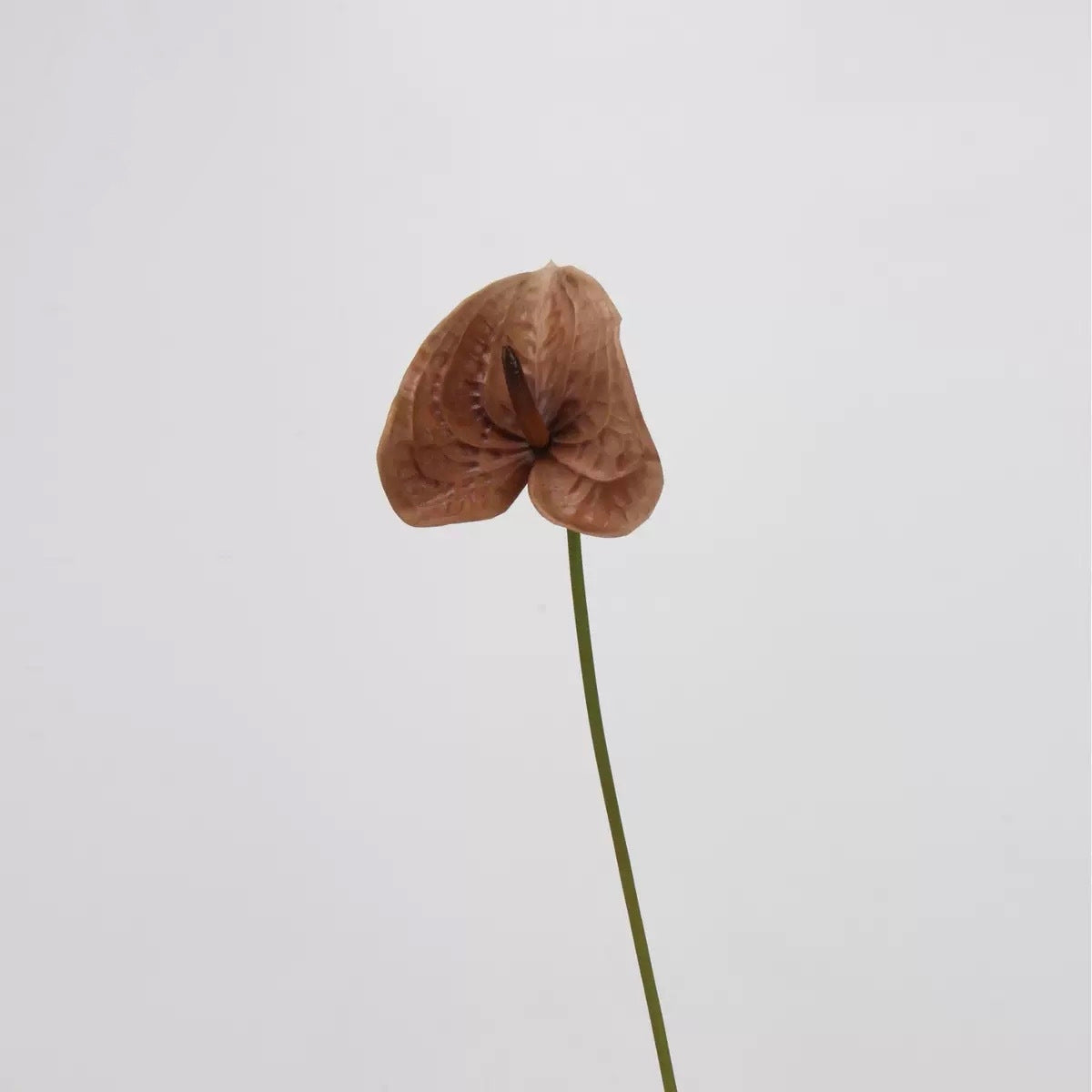 Mocha & Nude Real Touch Artificial Flower Stems – PU Faux Flowers | Panthère Rose
