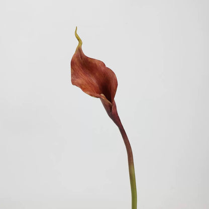 Mocha & Nude Real Touch Artificial Flower Stems – PU Faux Flowers | Panthère Rose