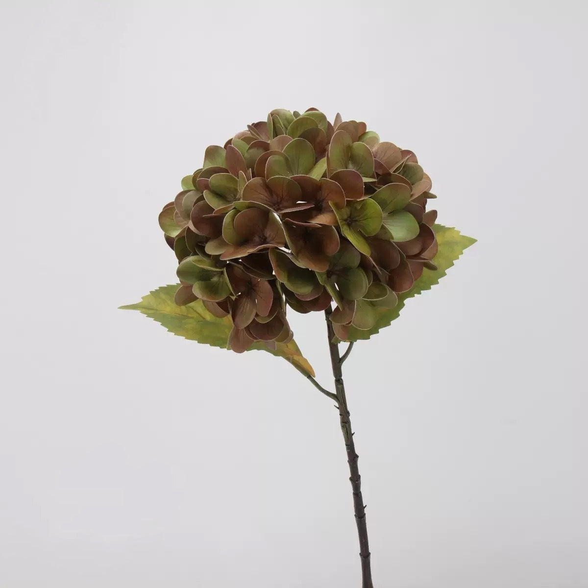 Mocha & Nude Real Touch Artificial Flower Stems – PU Faux Flowers | Panthère Rose