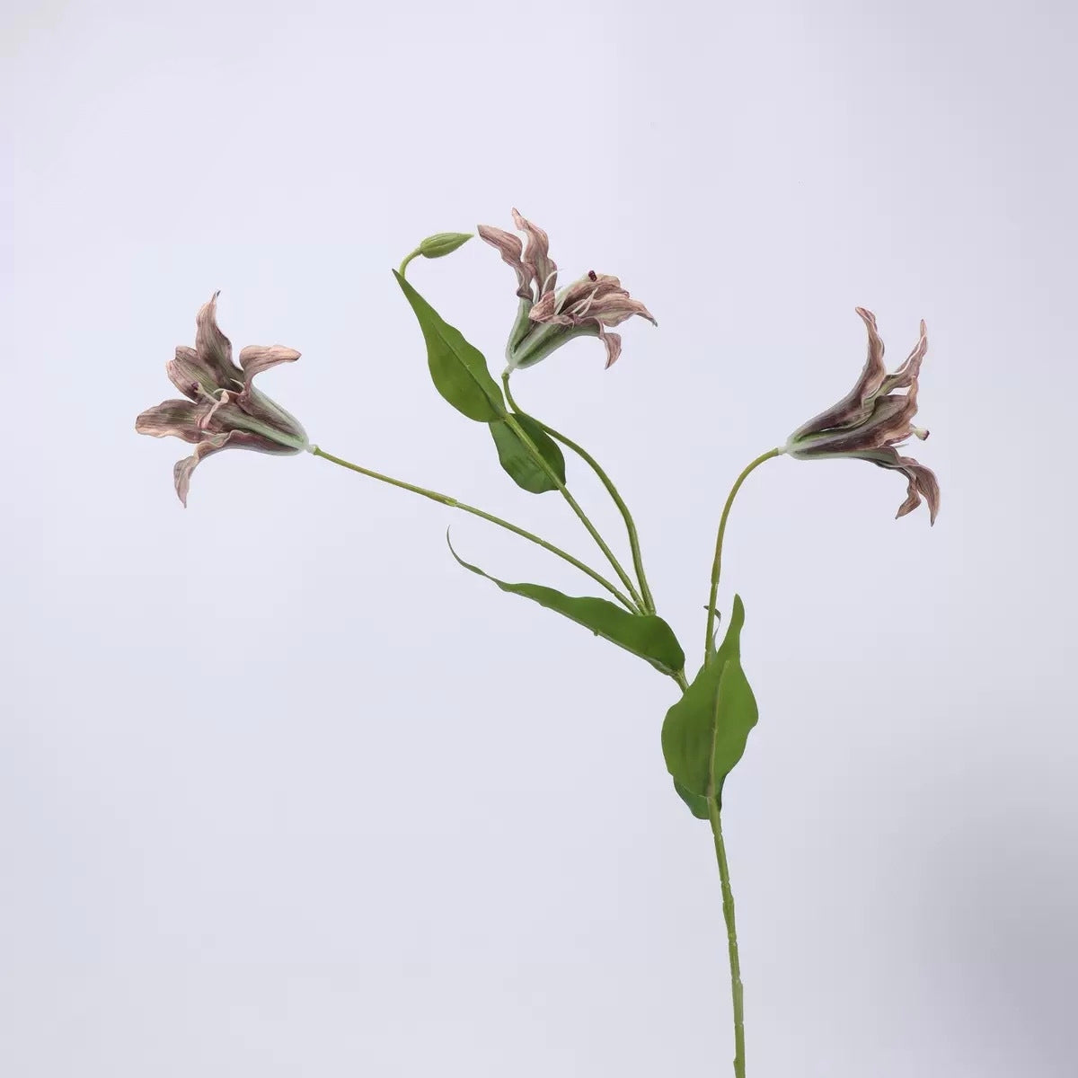 Mocha & Nude Real Touch Artificial Flower Stems – PU Faux Flowers | Panthère Rose