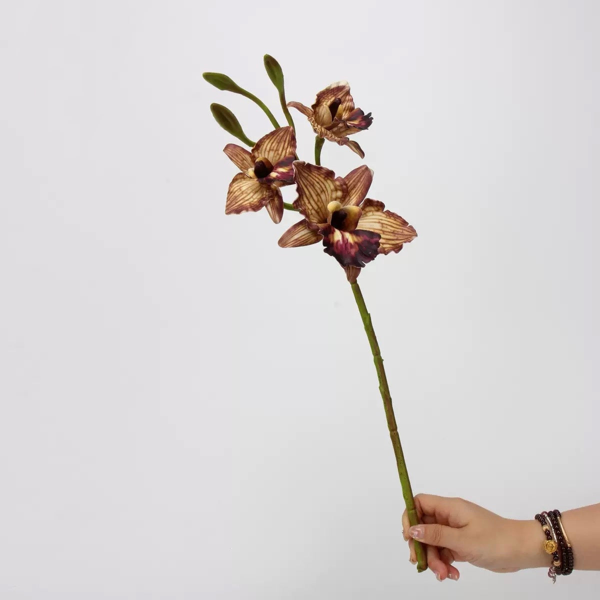 Mocha & Nude Real Touch Artificial Flower Stems – PU Faux Flowers | Panthère Rose