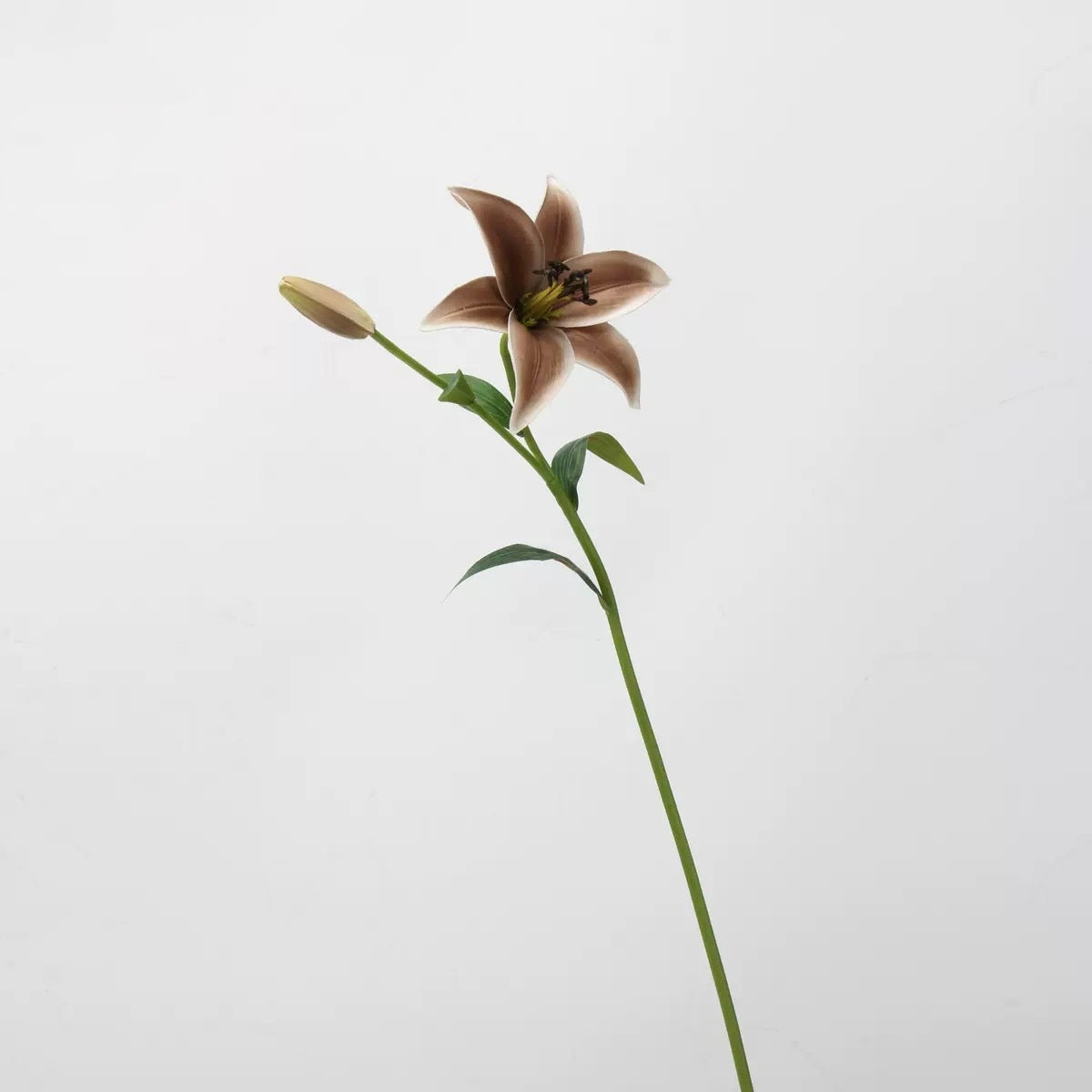 Mocha & Nude Real Touch Artificial Flower Stems – PU Faux Flowers | Panthère Rose