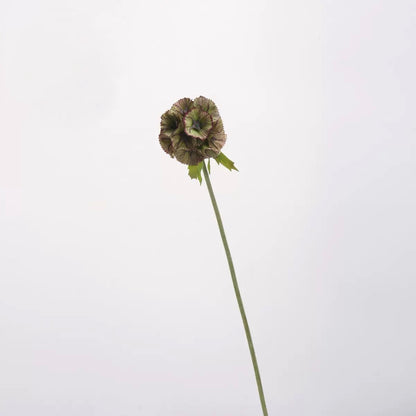 Mocha & Nude Real Touch Artificial Flower Stems – PU Faux Flowers | Panthère Rose