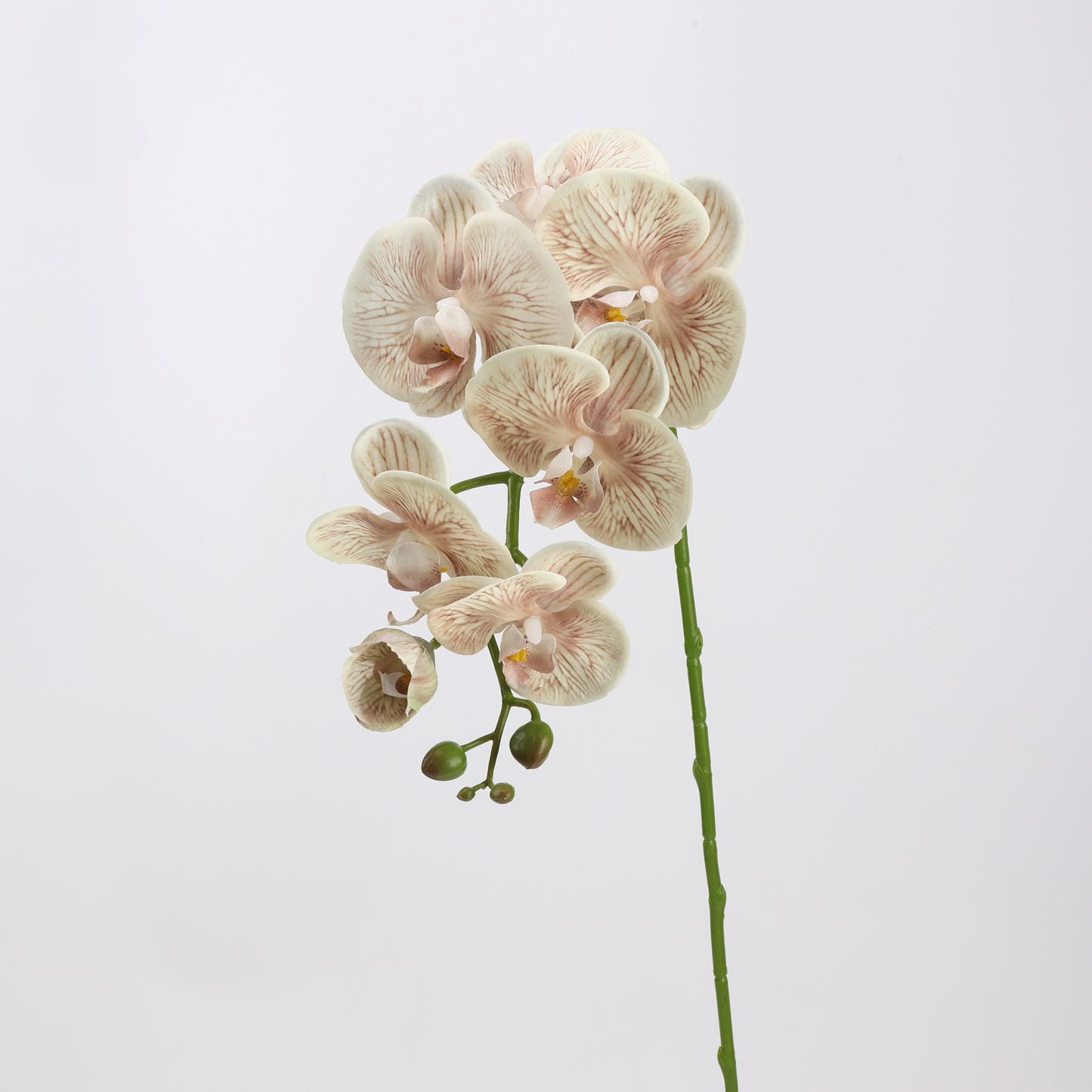 Mocha & Nude Real Touch Artificial Flower Stems – PU Faux Flowers | Panthère Rose