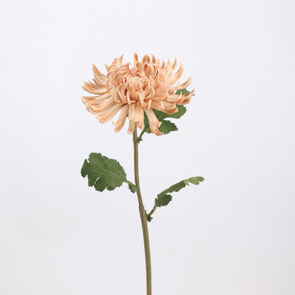 Mocha & Nude Real Touch Artificial Flower Stems – PU Faux Flowers | Panthère Rose
