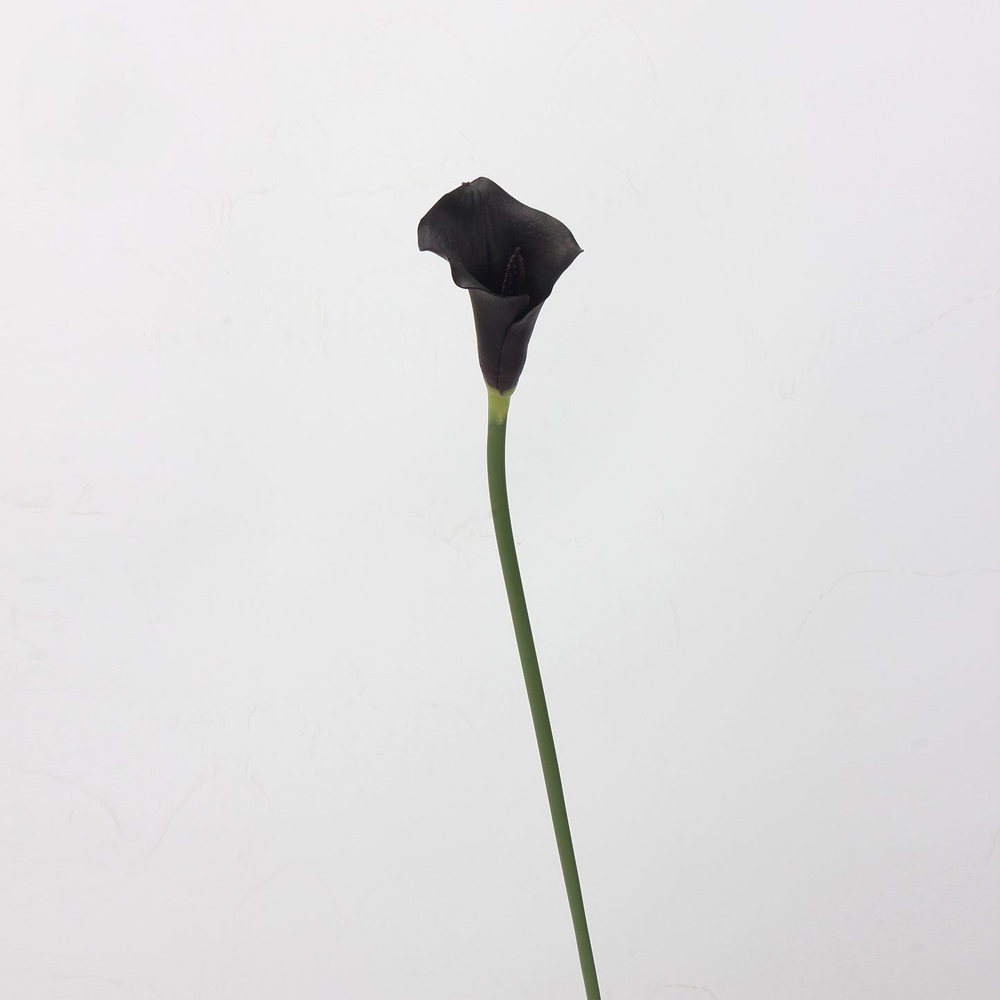 Dark & Moody Real Touch Artificial Flower Stems – PU Faux Flowers | Panthère Rose