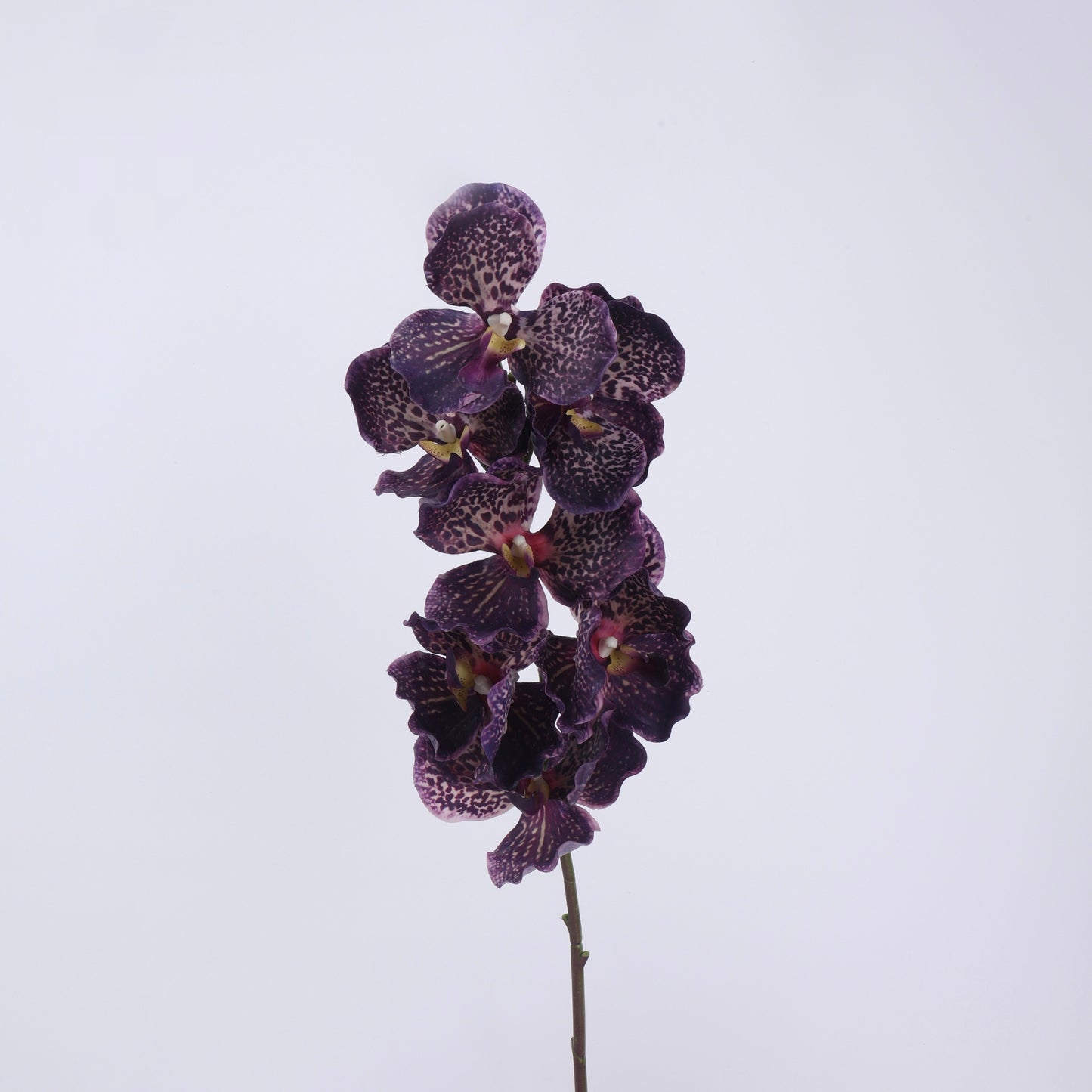 Dark & Moody Real Touch Artificial Flower Stems – PU Faux Flowers | Panthère Rose
