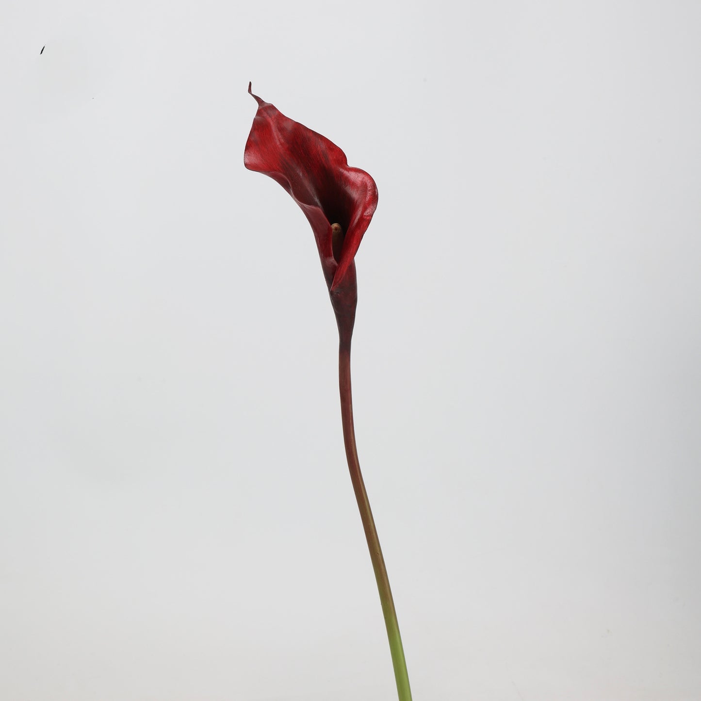Red & Burgundy Real Touch Artificial Flower Stems – PU Faux Flowers | Panthère Rose