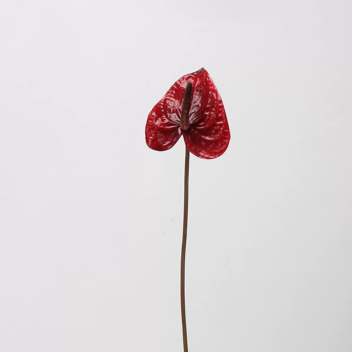 Red & Burgundy Real Touch Artificial Flower Stems – PU Faux Flowers | Panthère Rose