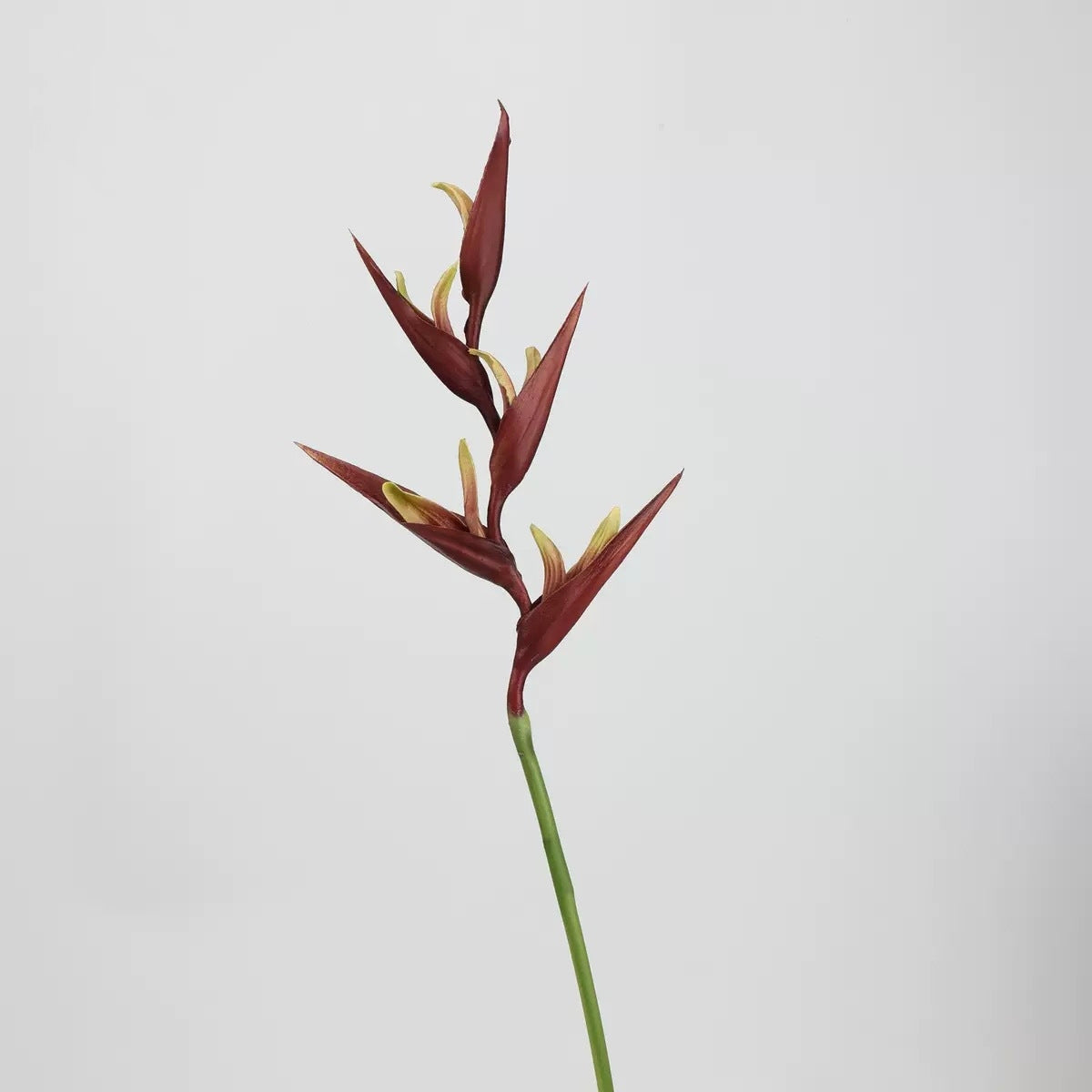 Red & Burgundy Real Touch Artificial Flower Stems – PU Faux Flowers | Panthère Rose