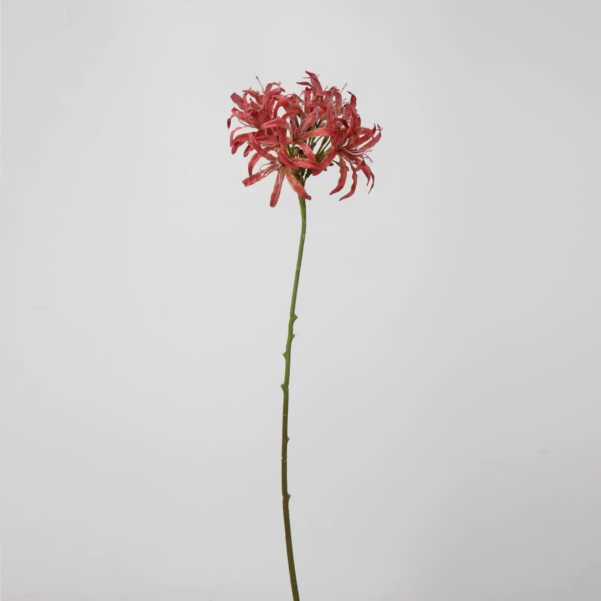 Red & Burgundy Real Touch Artificial Flower Stems – PU Faux Flowers | Panthère Rose