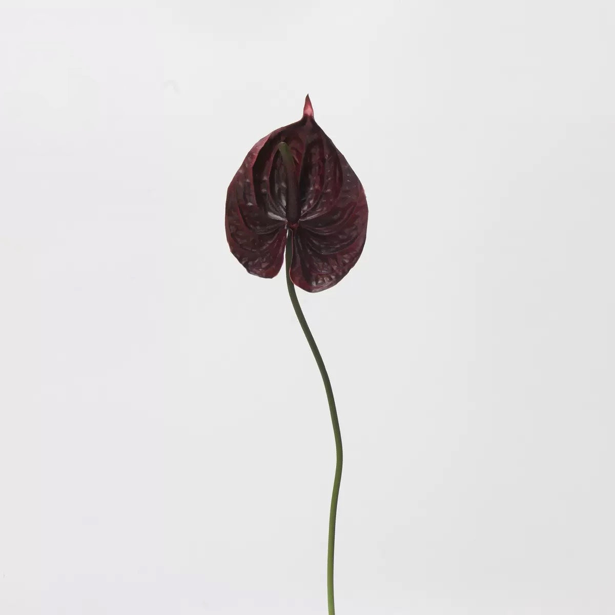Red & Burgundy Real Touch Artificial Flower Stems – PU Faux Flowers | Panthère Rose