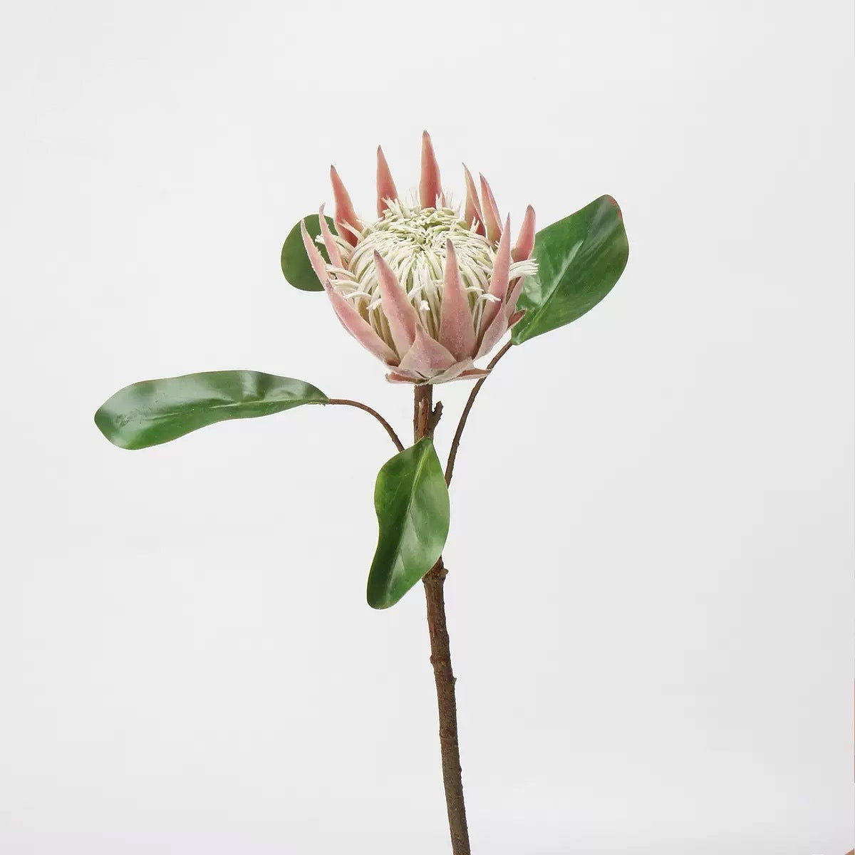 Pink & Blush Real Touch Artificial Flower Stems – PU Faux Flowers | Panthère Rose