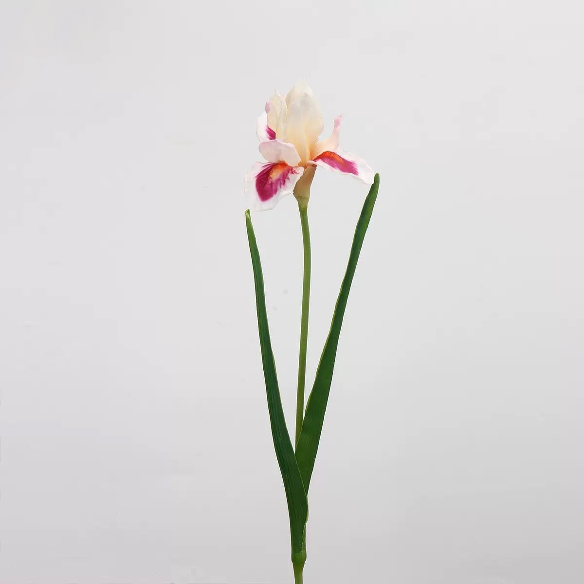 Pink & Blush Real Touch Artificial Flower Stems – PU Faux Flowers | Panthère Rose