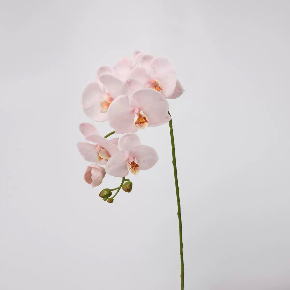 Pink & Blush Real Touch Artificial Flower Stems – PU Faux Flowers | Panthère Rose