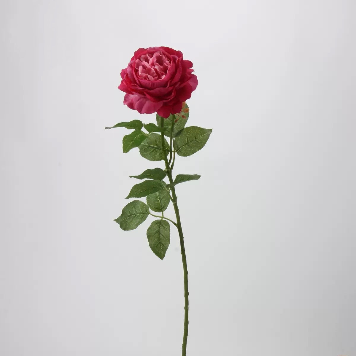 Pink & Blush Real Touch Artificial Flower Stems – PU Faux Flowers | Panthère Rose
