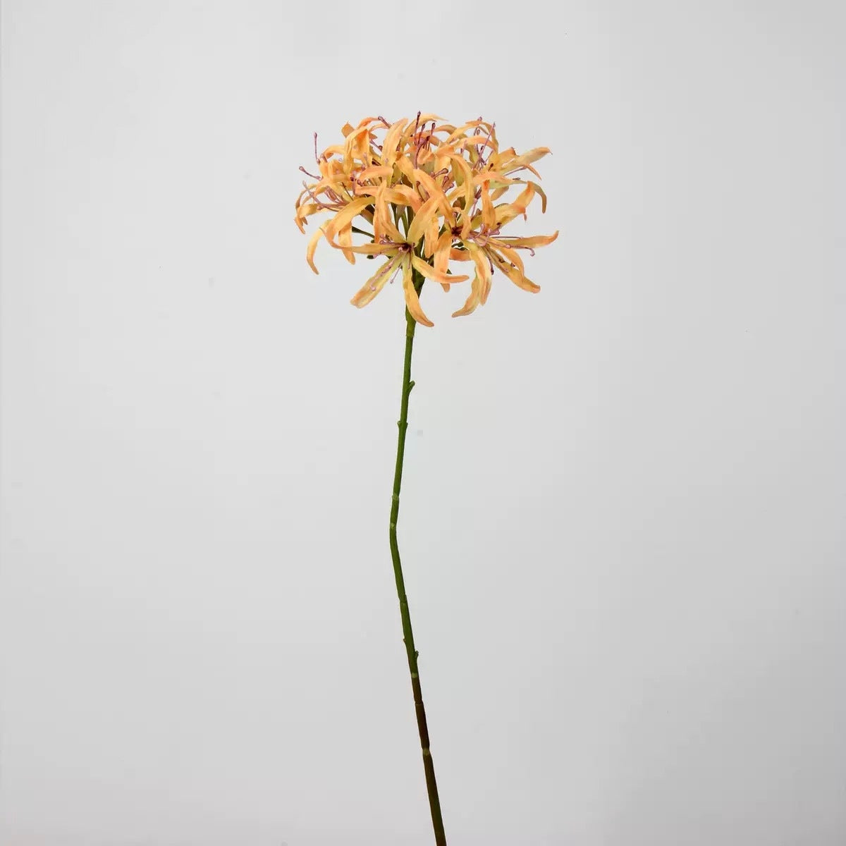 Autumn & Terracotta Real Touch Artificial Flower Stems – PU Faux Flowers | Panthère Rose