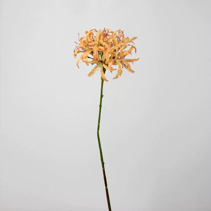 Autumn & Terracotta Real Touch Artificial Flower Stems – PU Faux Flowers | Panthère Rose