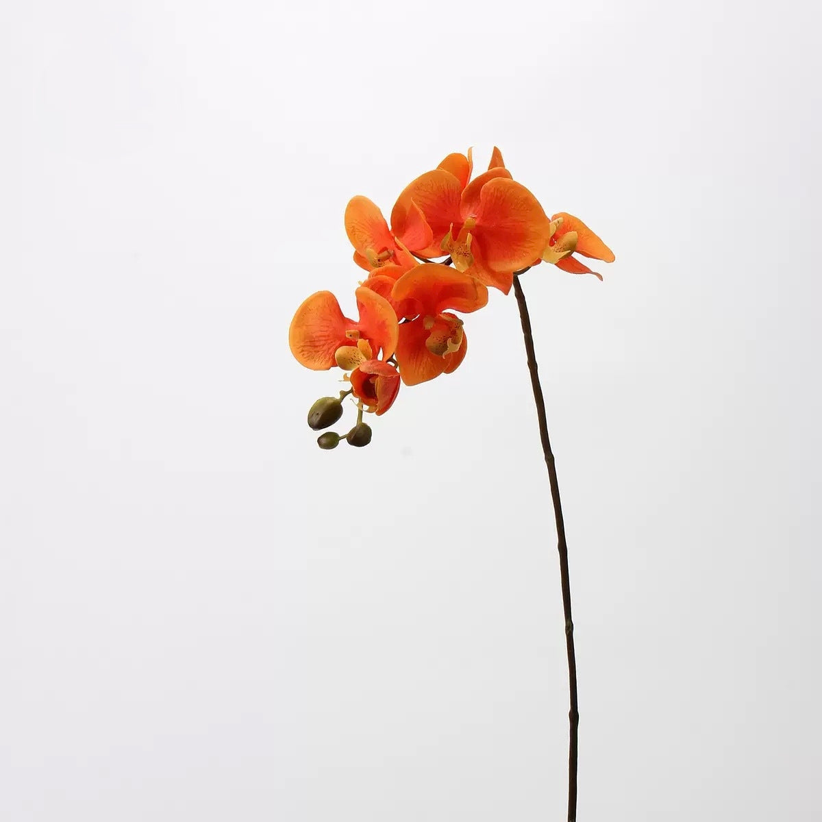 Autumn & Terracotta Real Touch Artificial Flower Stems – PU Faux Flowers | Panthère Rose