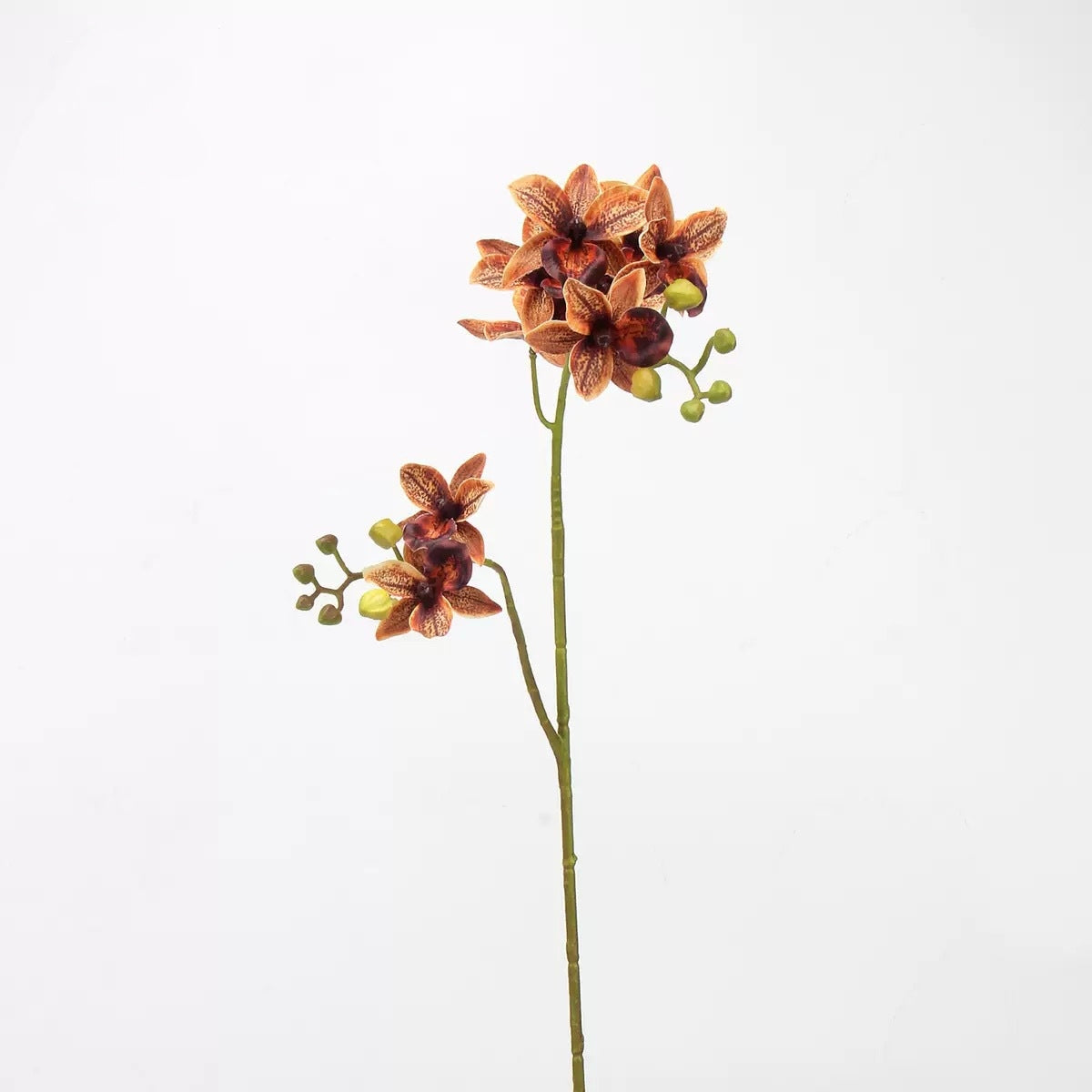 Autumn & Terracotta Real Touch Artificial Flower Stems – PU Faux Flowers | Panthère Rose