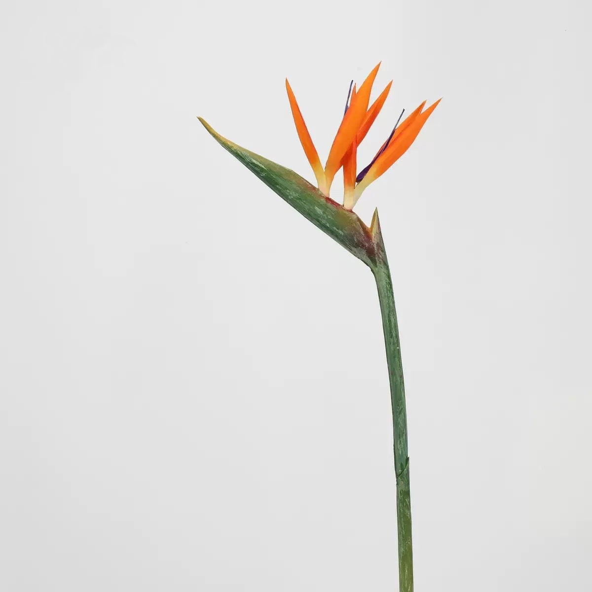 Autumn & Terracotta Real Touch Artificial Flower Stems – PU Faux Flowers | Panthère Rose