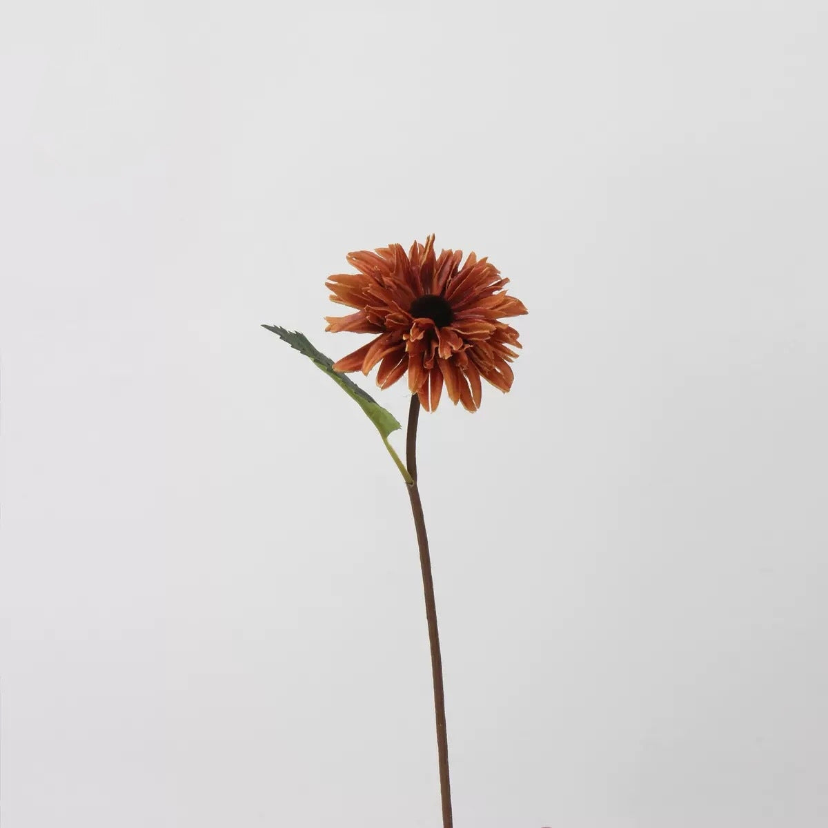 Autumn & Terracotta Real Touch Artificial Flower Stems – PU Faux Flowers | Panthère Rose
