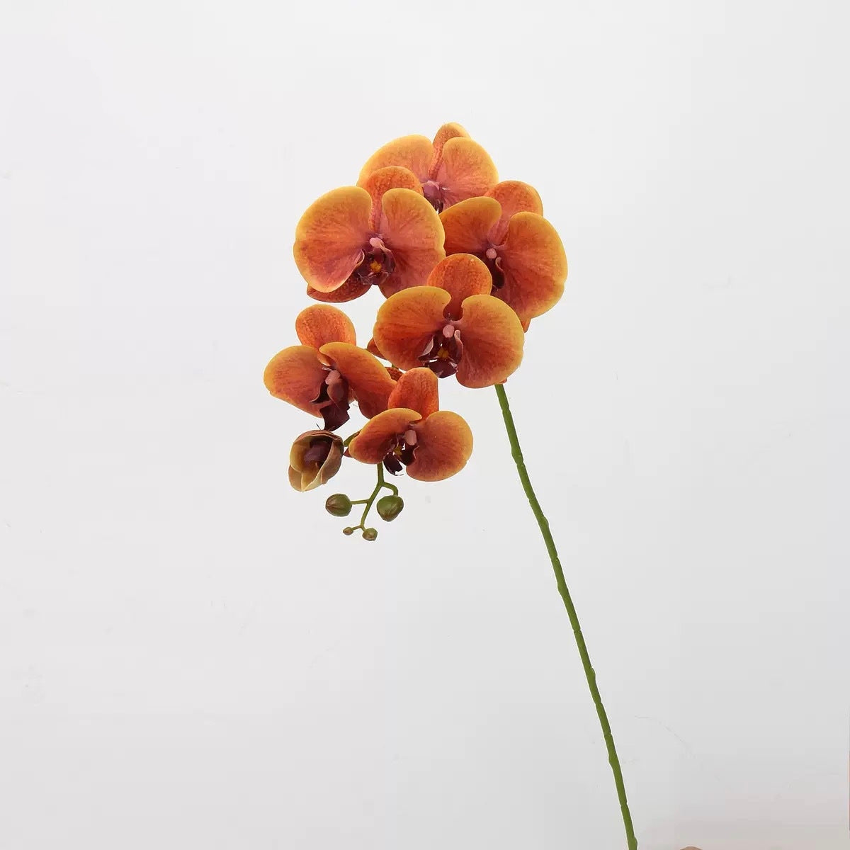 Autumn & Terracotta Real Touch Artificial Flower Stems – PU Faux Flowers | Panthère Rose